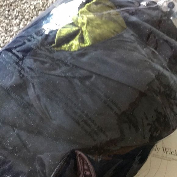 Black Gothic Dress with Ruffled Skirt and Victorian Silhouette - Picture 2 of 4